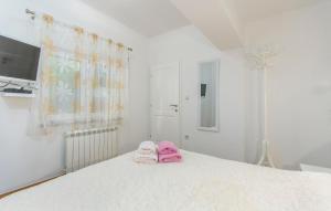 Apartmani Cupar