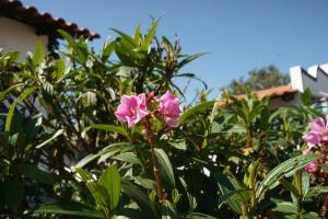 Chalés de São José - Casas de Aluguel