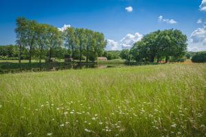 Hotels Domaine de Roiffe : photos des chambres