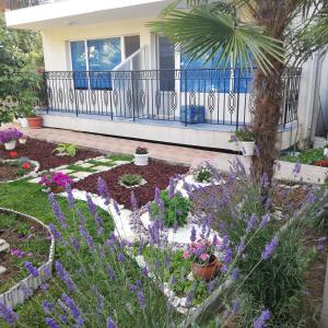 Albatros 2 Family Hotel