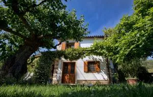 Lovely House with View Over Salt Pans TIMOR - Letalisce Porforoz