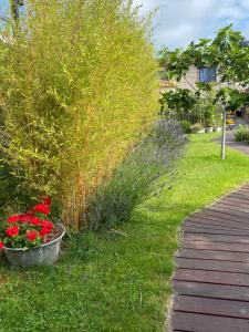 B&B / Chambres d'hotes Celine et Olivier : photos des chambres