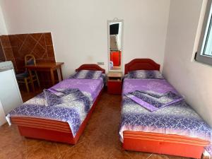 Apartment Zevs