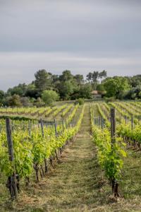 Hotels Domaine Rabiega - Vineyard and Boutique hotel : photos des chambres