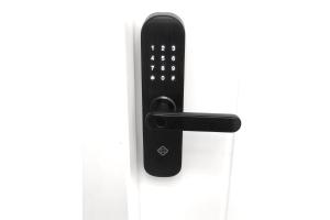 Haus Stay · pé na areia · Balneário Camboriú