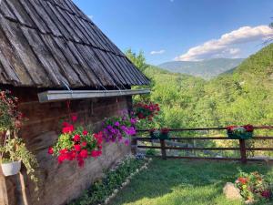 apartman Mara