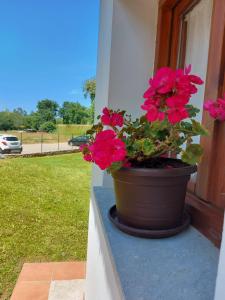 Double Room with Patio room in El Cuadron