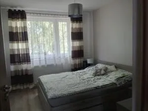 BOGUCHWALY - Wojciechy