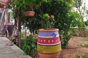 Villa Mata Ios Greece