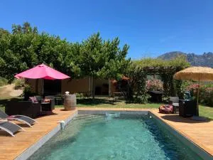 Domaine U Bugnu - Balogna