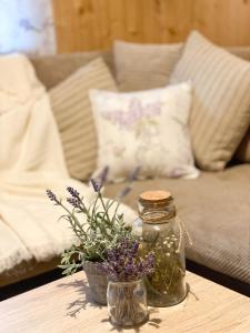 Lawendula domek nad Miedwiem