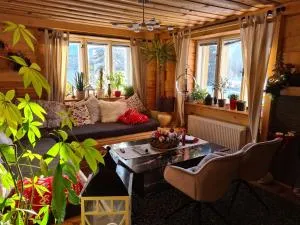 Chalet-Beskydy - 大卡尔洛维采