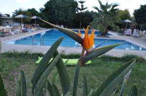 Stork Hotel Heraklio Greece