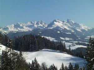 Ferienwohnung Rettenegger