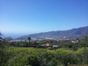 Los Guanches Bungalows