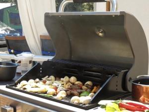 Mobile Home Cube - Peaceful Family Retreat