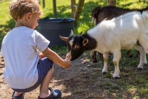 Hiša Lenart - 4hvězdičkové hotely ve městě Tolmin