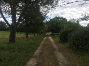 Maisons de vacances Le Domaine de Claras : photos des chambres