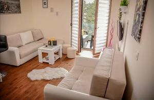 Aleks Apartman, Zlatibor centar