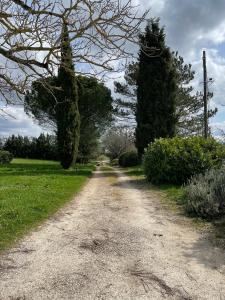 Maisons de vacances Le Domaine de Claras : photos des chambres