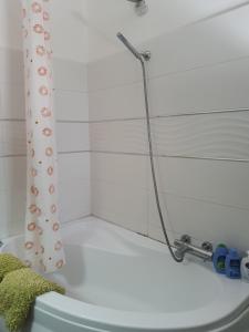 Sole D'oro IUN S4354 img41