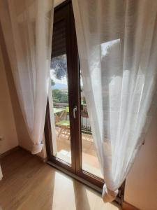 Sole D'oro IUN S4354 img34