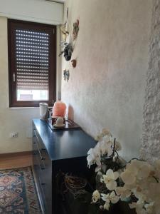 Sole D'oro IUN S4354 img25