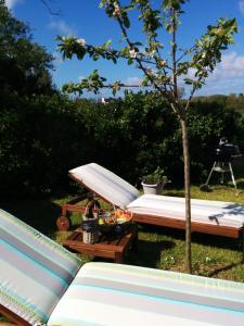 Maisons de vacances Roulotte Gites O bien-etre massage Spa Sejour bien-etre en hebergement insolite roulotte Karantez ou en gites Melon ou Yock a 800 m des plages Maison d'hote Drogou : photos des chambres