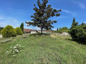 Maisons de vacances Le Domaine de Claras : photos des chambres