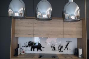 Nowy Apartament Zygmunta Premium