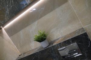 Nowy Apartament Zygmunta Premium