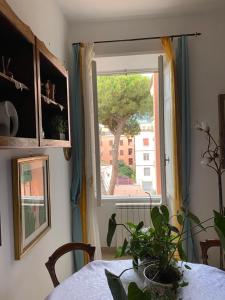 Edo apartament