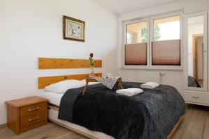 Apartamenty Wiśniowy Sad by Noclegi Renters