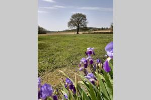 Maisons de vacances Gite du Clos Baste : photos des chambres