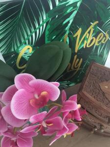 Panoramis 417 apartament pe plaja cu vedere frontala la mare