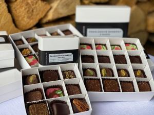 Lyžařská Bouda Domovina