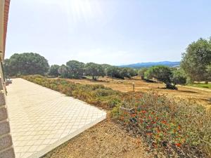 La Striscia Larga img60