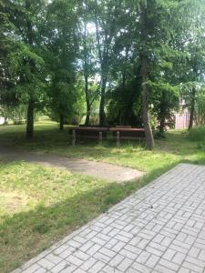 Apartmány - Školní