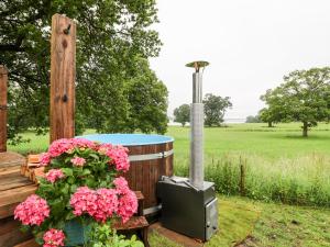 The Lazy Mare by The Water