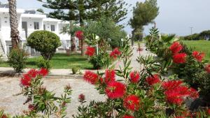 Blue Nest Hotel Kos Greece