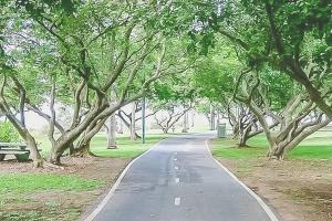 ZEN GARDEN - COZY 2-BR + Modern Design w Aircon