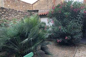 Maisons de vacances Maison catalane avec jardin : photos des chambres