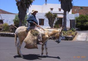 Finca Lanzarosy, Guatiza - Lanzarote