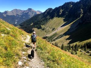 Maisons de vacances 'Petite Ferme Les Bouts' Apt, sleeps 6, Nr Morzine : photos des chambres