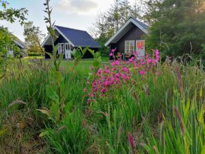 Lindvig - Ferie i naturen