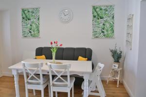 Historic Mexico Building Apartment