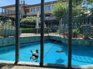 Hotel Tetto delle Marche - Ristorante dei Conti