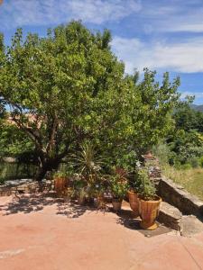Appartements Ventoux Apartments : photos des chambres