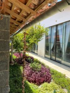 Casa Beira Mar Itamaracá