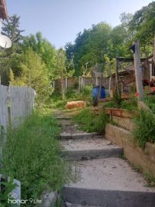 Chalets La Cabane des Trappeurs : photos des chambres